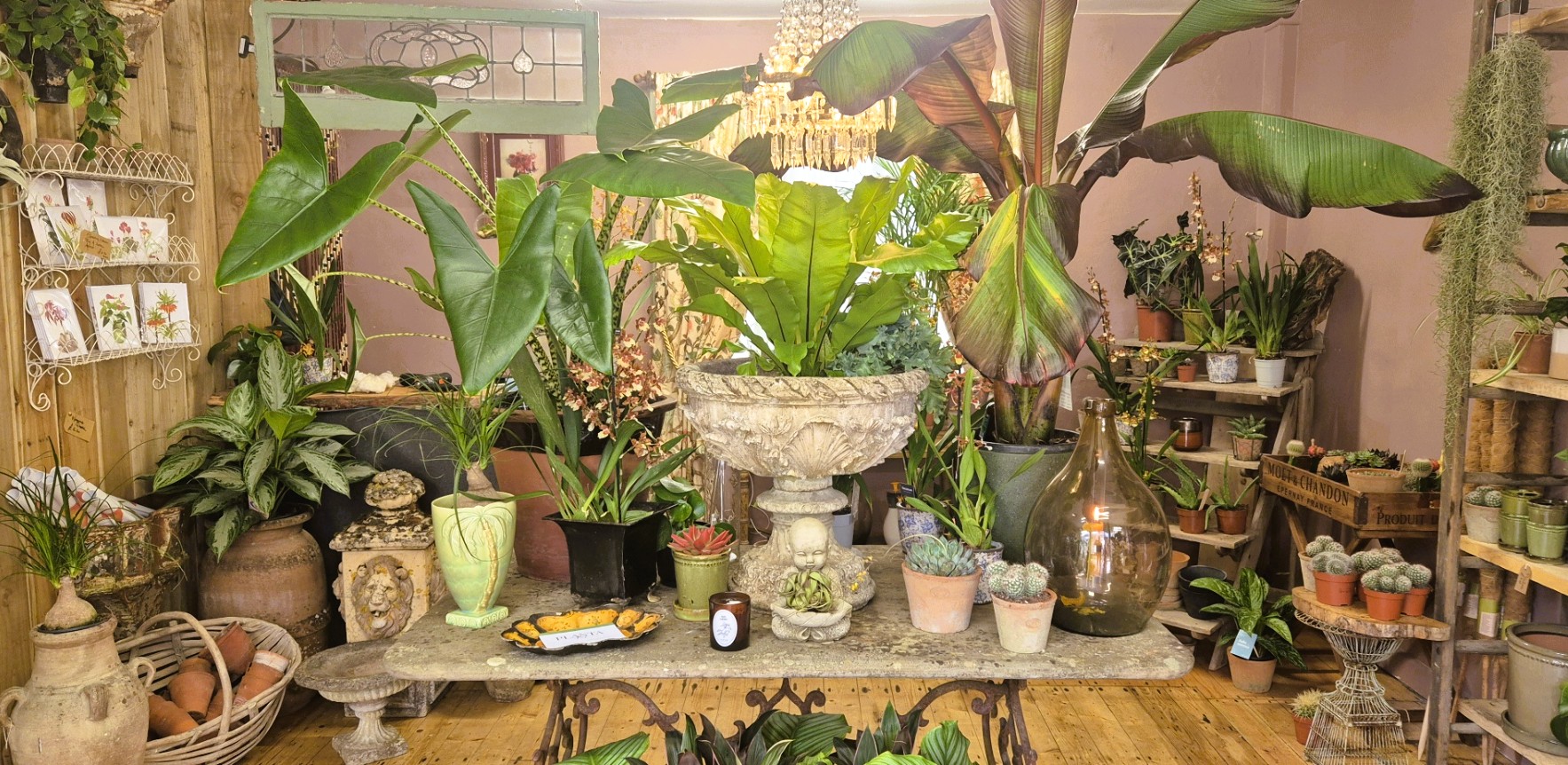 Shop Entrance