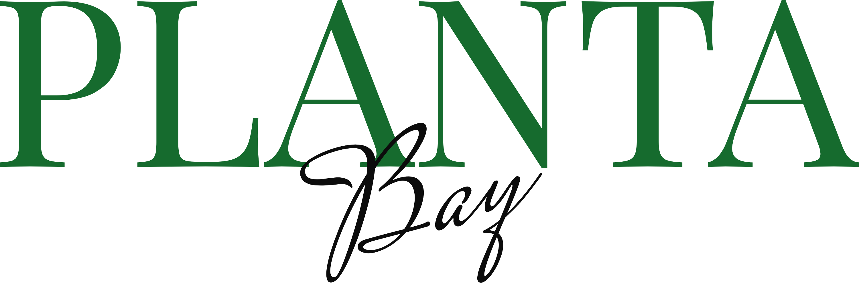 Planta Bay Logo